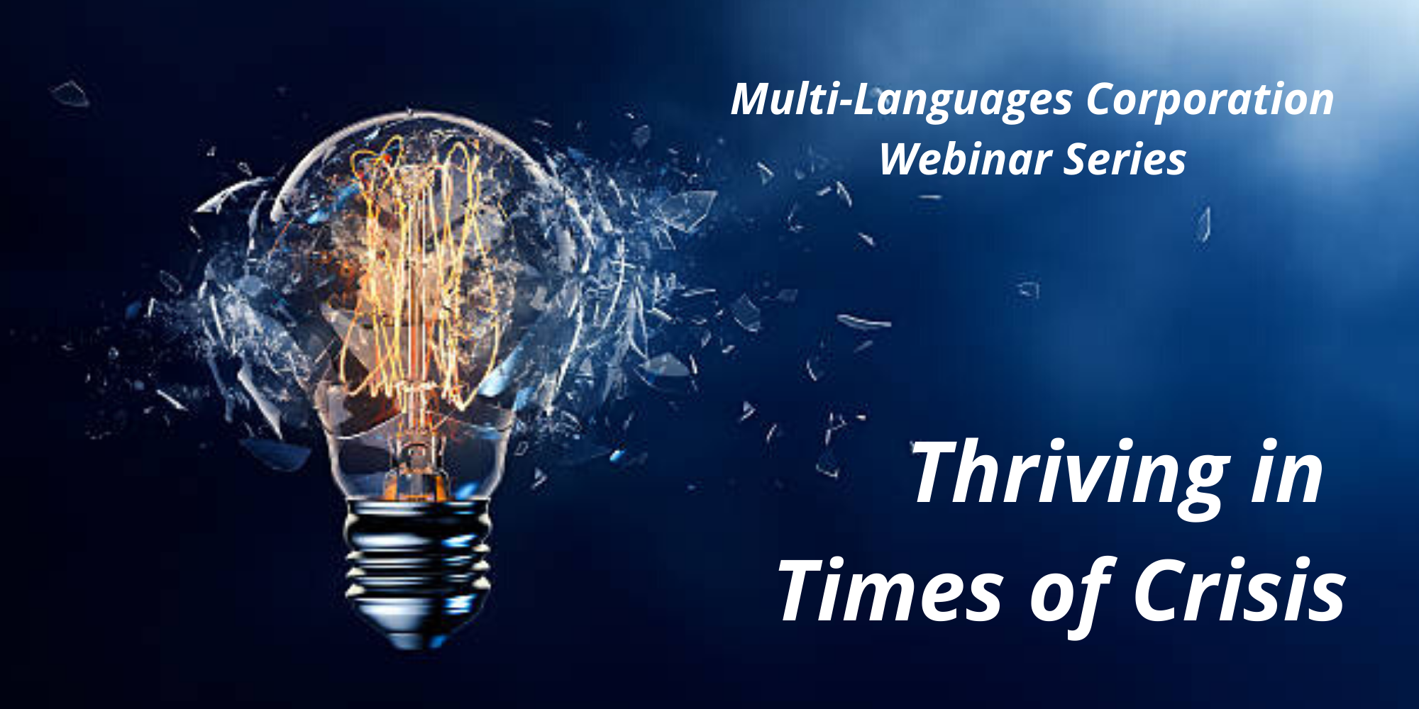 Multi-Languages Webinar: Audio Description & Subtitling 2020